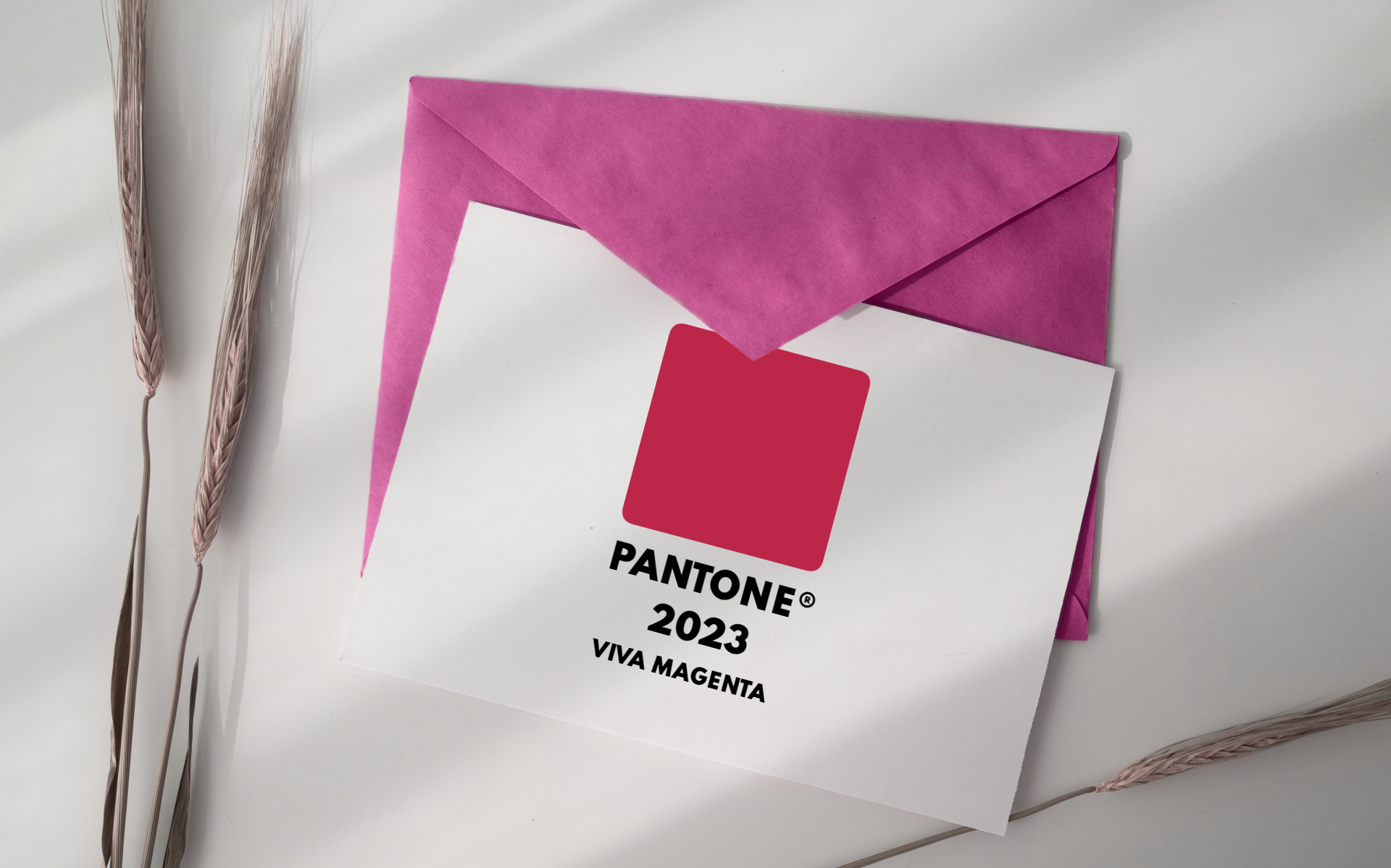 Viva Magenta- Pantone 2023 Color of the Year