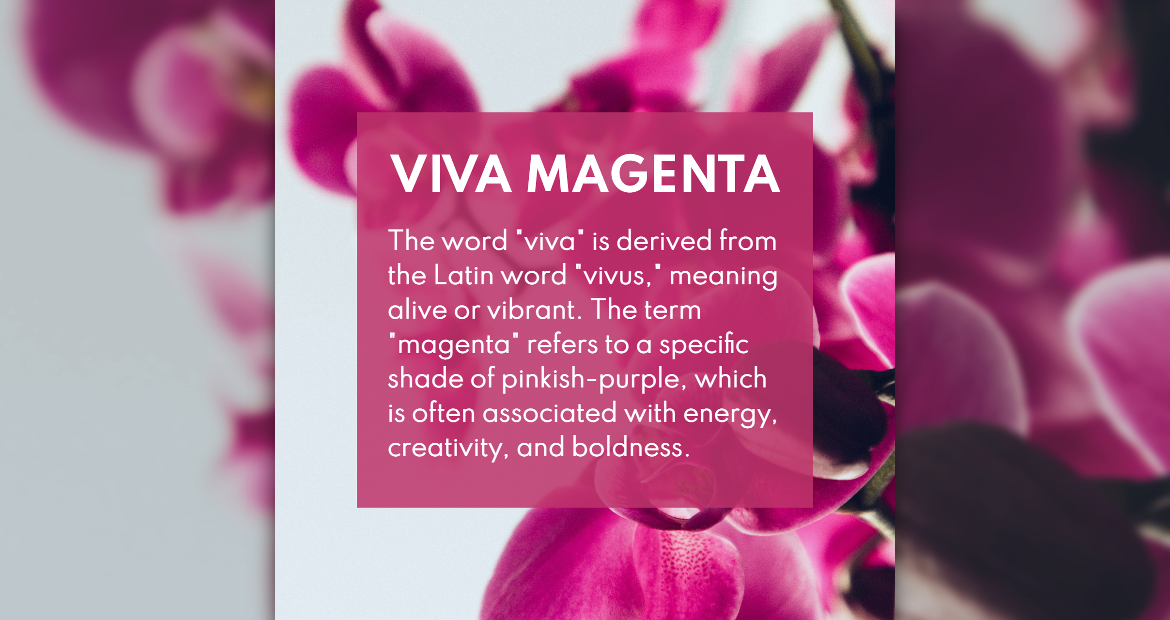 Colour of the Year: Viva Magenta