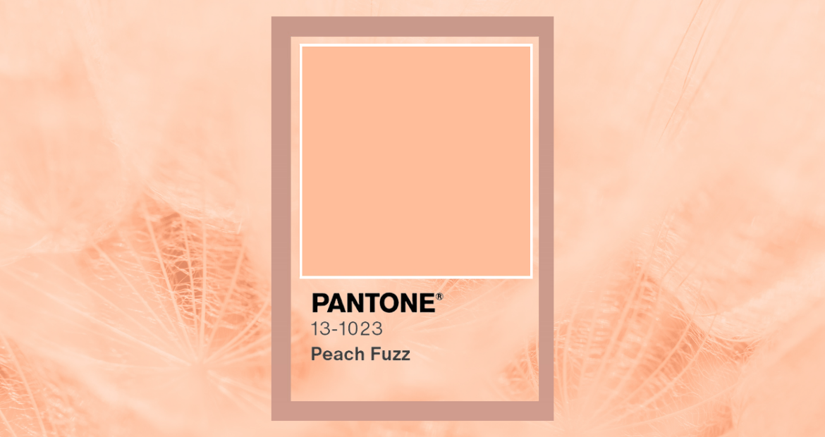 Pantone Unveils 'Gentle' Peach Fuzz as 2024 Color of the Year